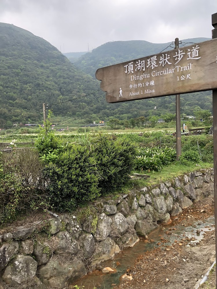 頂湖環狀步道木製指標與溪流田野