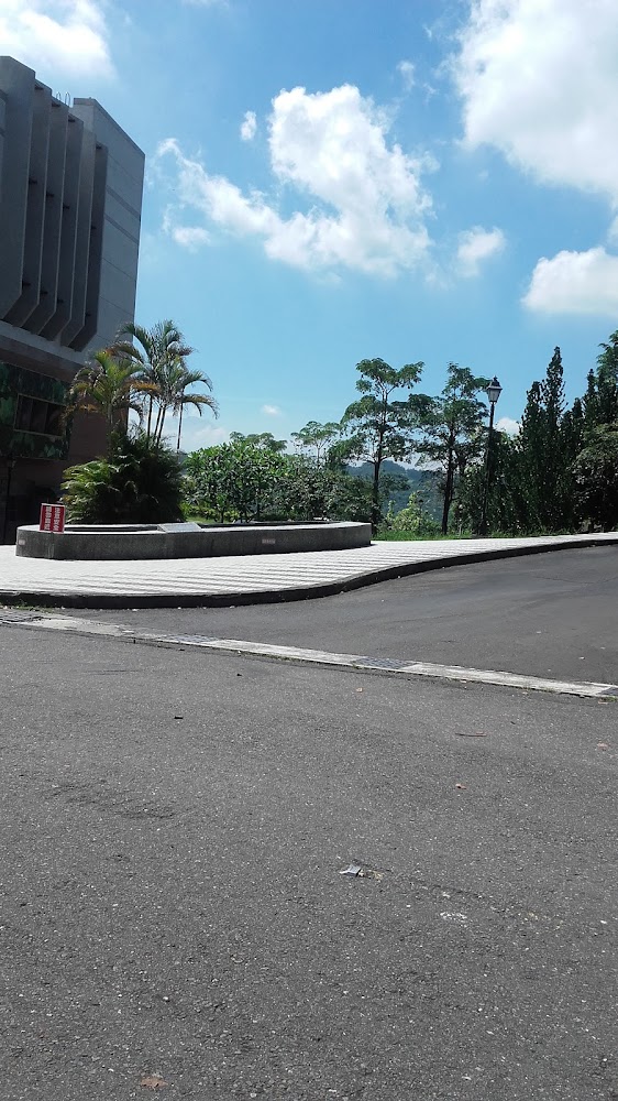 通往泥火山周邊的校園道路與圓環景觀