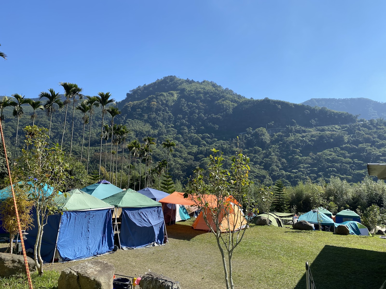 光華賞螢步道露營區，多色帳篷草坪，椰子樹山脈景色