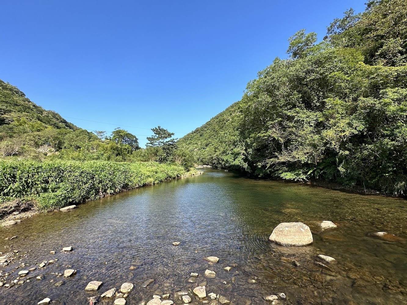 清澈河流穿過山林,河中有岩石與藍天背景