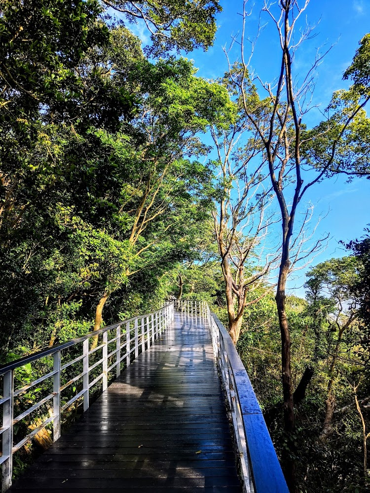 林梢步道森林木棧道