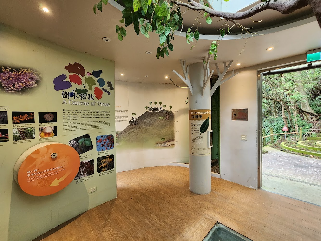 闊葉林館室內展覽空間
