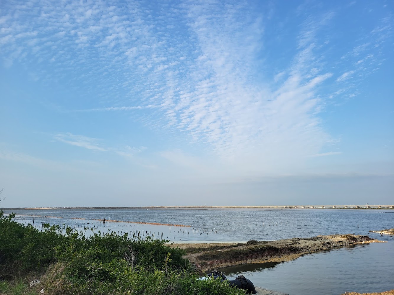 七股鹽田濕地水岸與木樁景色