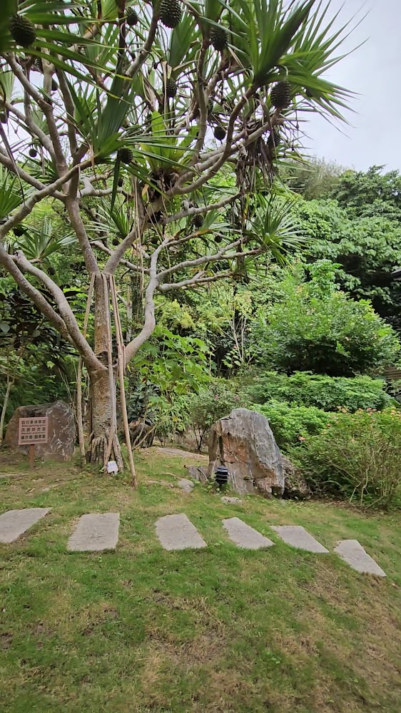 走過虹橋庭園中的熱帶植物與石板步道