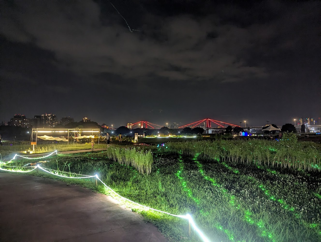 新北河濱蝶戀季夜晚草地燈光帳棚與城市天際線