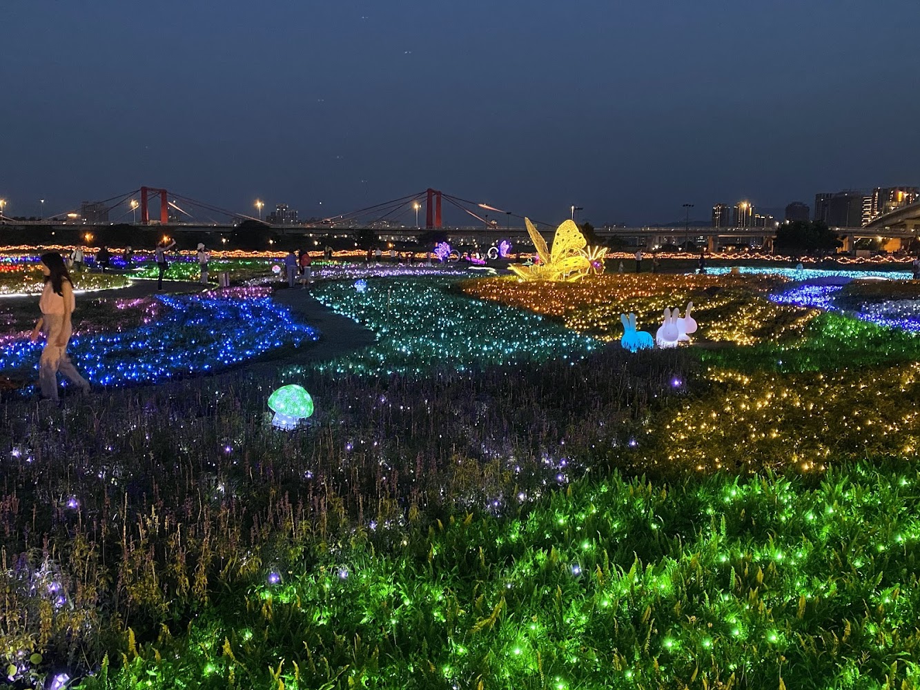蝴蝶公園地景花海夜間燈飾