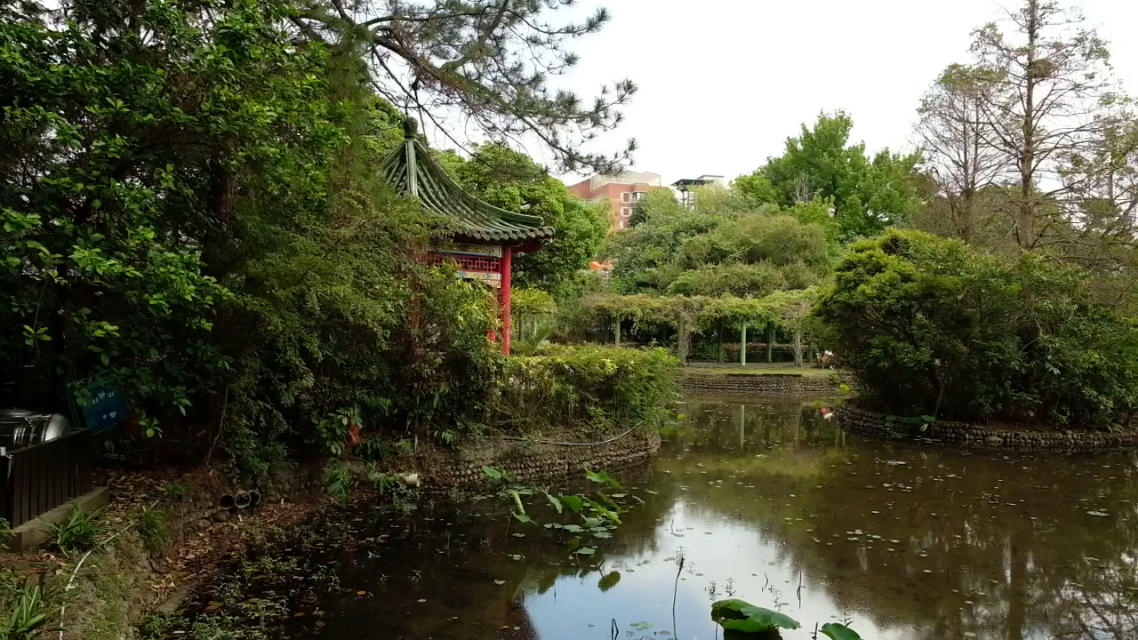 臺北植物園中式亭子與池塘景觀