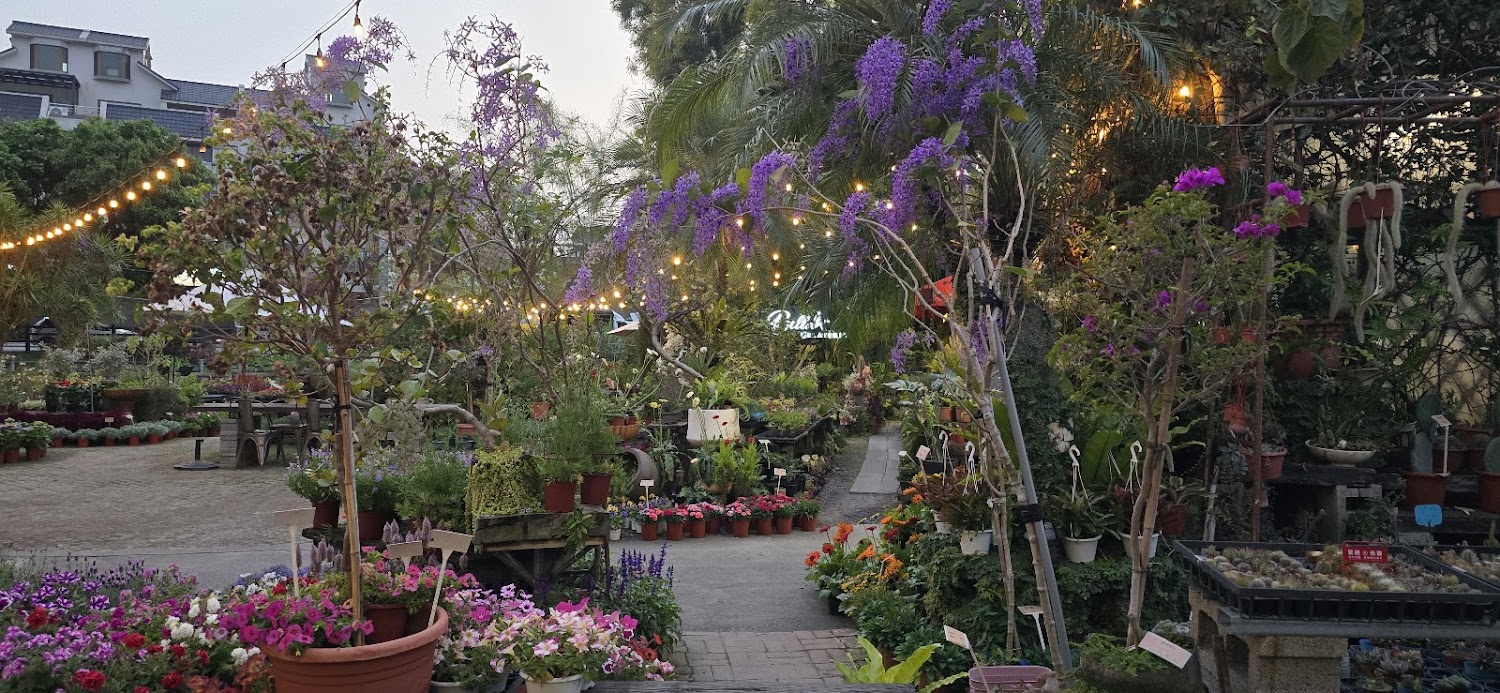 充滿各式花卉和盆栽的花園或園藝店，擺放整齊並點綴小燈泡