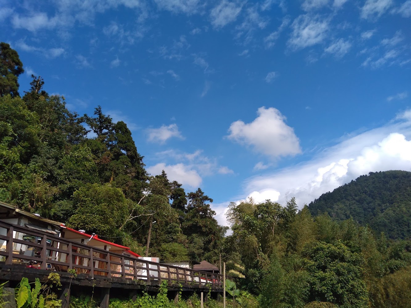 水社寮山林與觀景平台