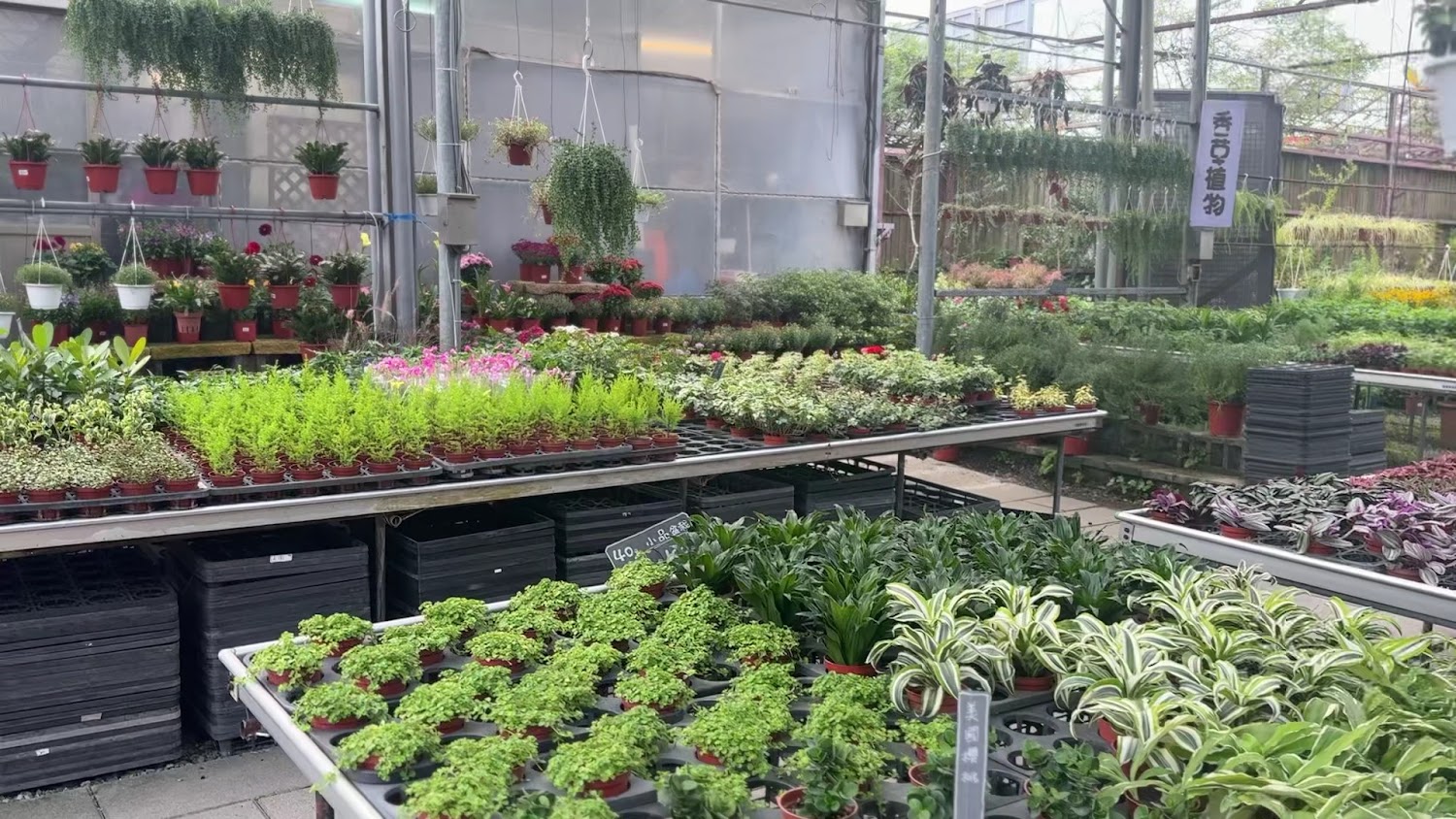 花卉村溫室植物園藝店
