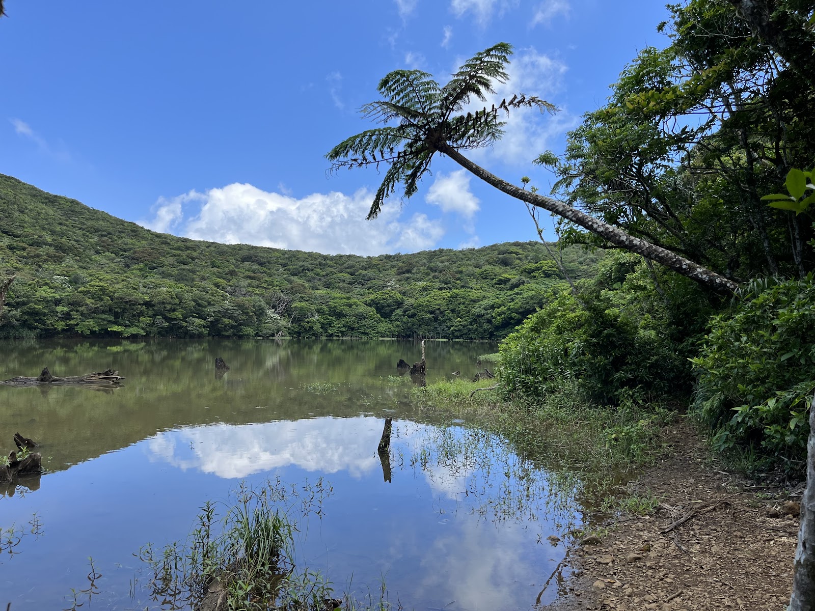 蘭嶼大天池火山口湖泊如鏡湖面倒映白雲蕨類樹斜伸湖畔熱帶叢林環抱