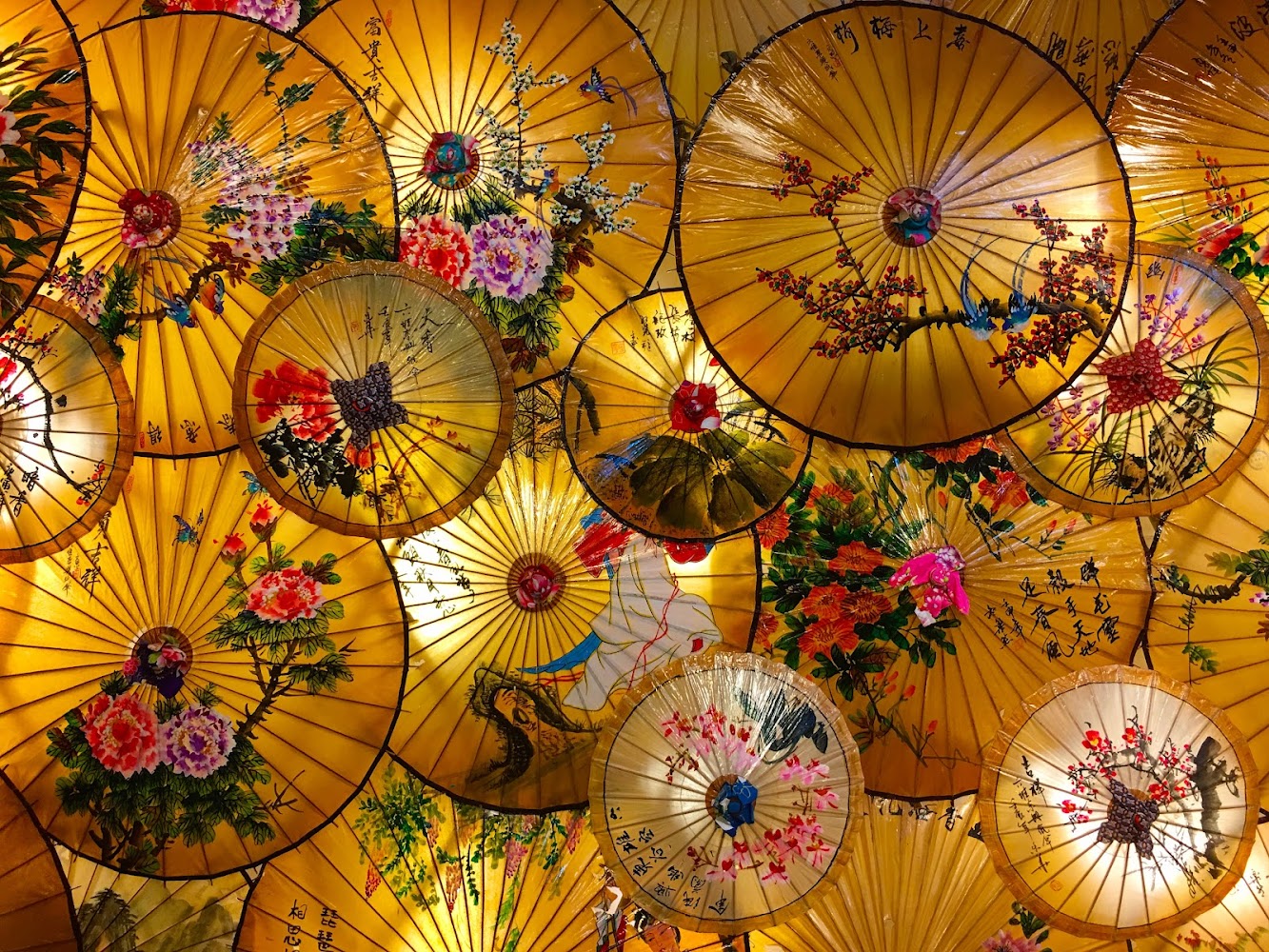 這張圖片展示了多把精美的中國傳統油紙傘，上面繪有各式花卉和書法，色彩鮮艷，營造出濃厚的東方藝術氛圍，充滿文化氣息。