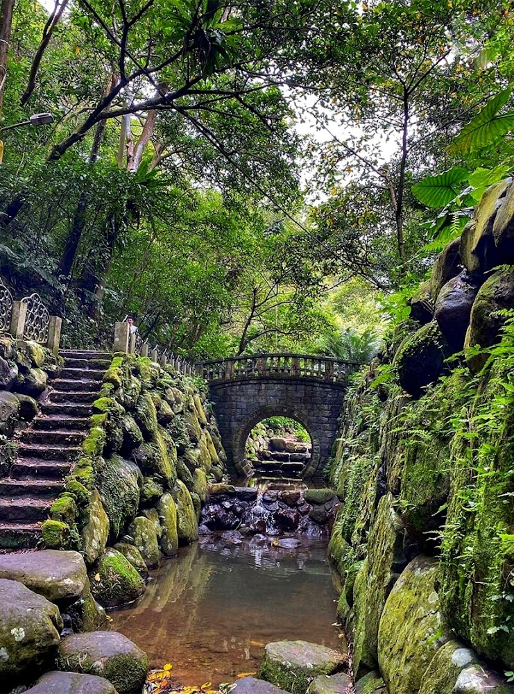 虎山親山步道石橋與森林溪流