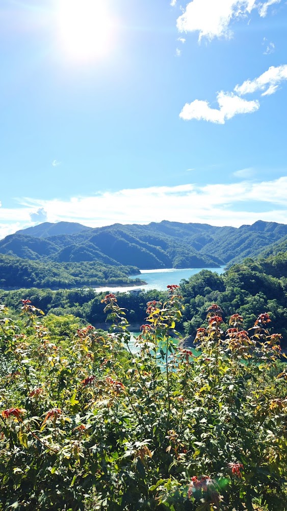 八卦茶園景觀台山脈湖泊與前景植物
