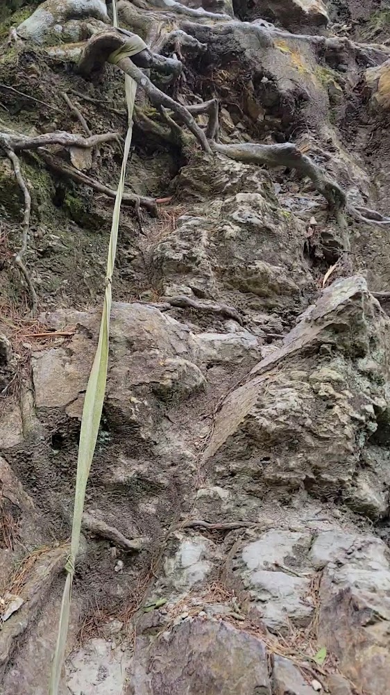 屋我尾山岩石陡坡與輔助繩索
