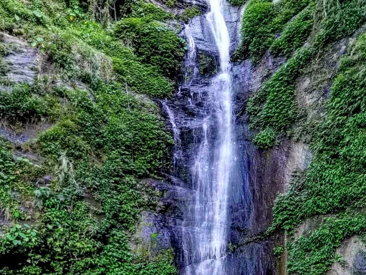 知本林道白龍瀑布中段特寫，水流沿灰色岩壁奔瀉，兩側翠綠植被