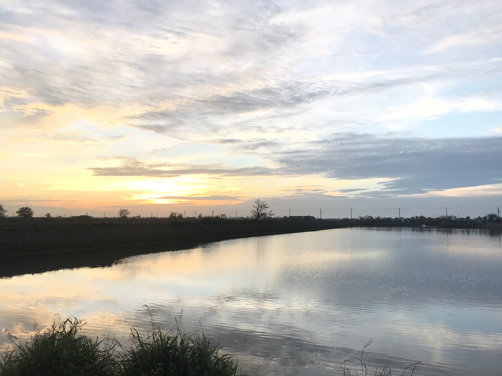 好美里濕地日落倒影，靜謐水面映照橙紅夕陽天色