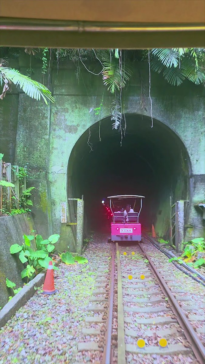 舊山線隧道入口電動小火車穿越迷霧山林