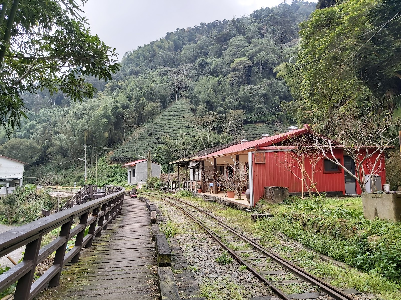 水社寮窄軌鐵道，紅色小站旁茶園山坡，阿里山林鐵嘉義竹崎