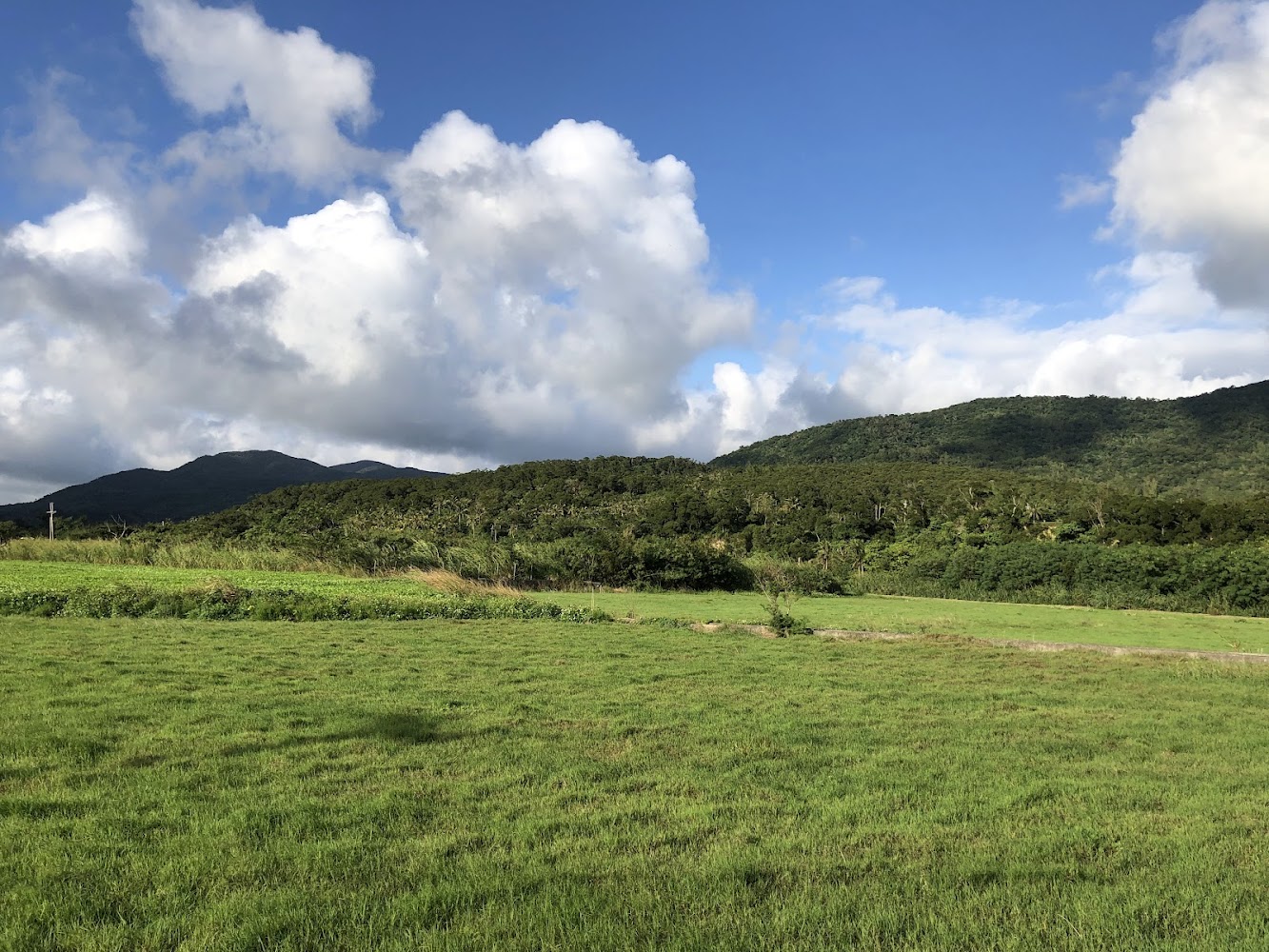 寬闊草地與後方山脈的自然風景
