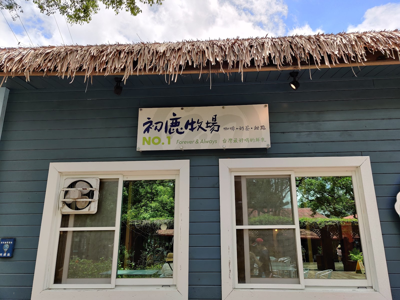 初鹿牧場綠地環境，連綿草坡和自然樹木景觀
