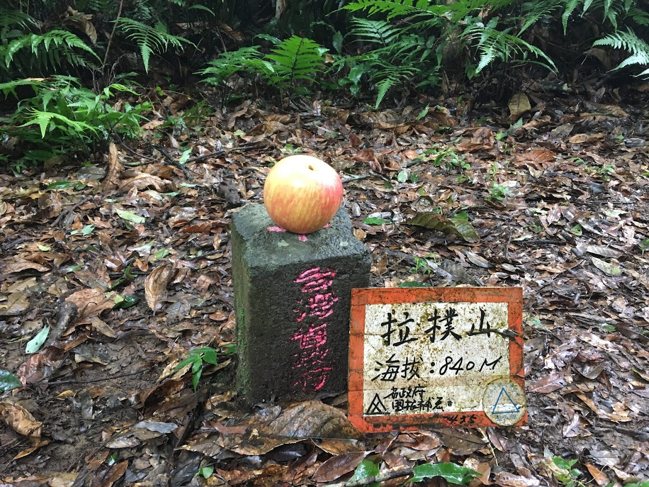 拉樸山三角點基石與標示牌，周圍是潮濕落葉與蕨類植物