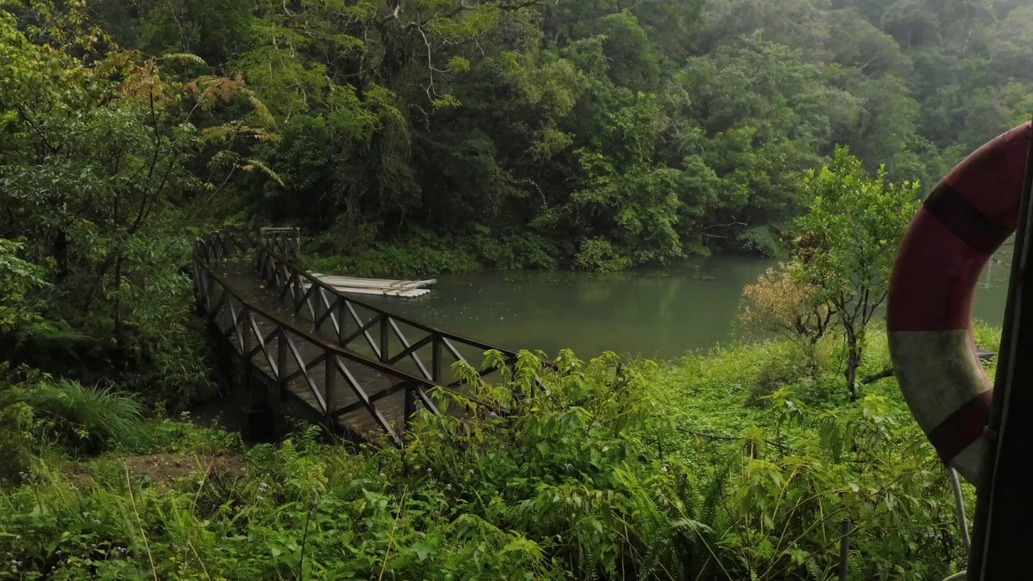 福山植物園湖泊與木橋景觀
