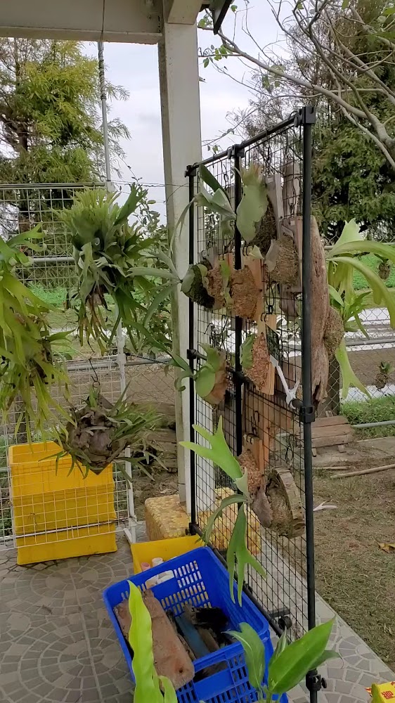 海賊庄休閒農場植栽展示區