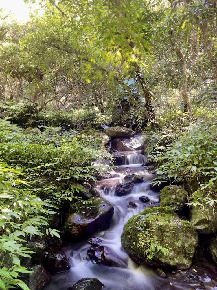 三角崙山步道沿線森林溪流景觀