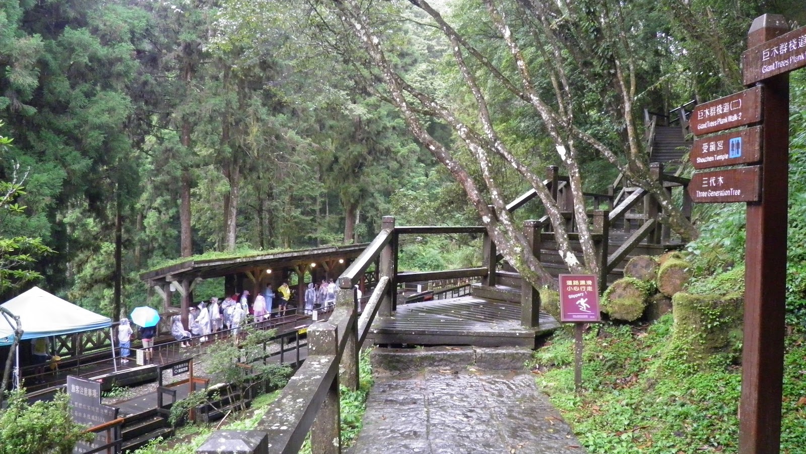 阿里山巨木群棧道指示牌遊客在霧中漫步