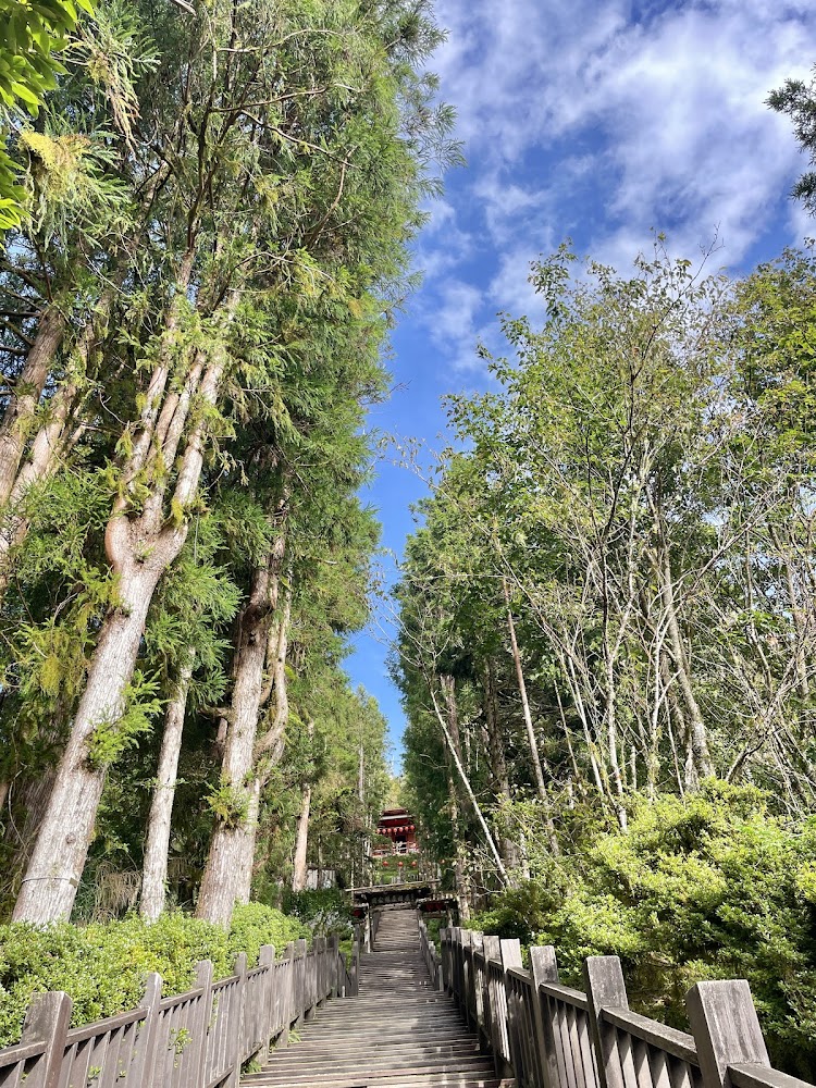 木製階梯步道通往山林深處