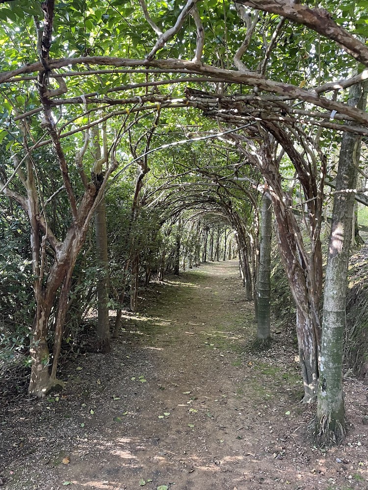 仙徠山莊景觀餐廳林間拱門步道