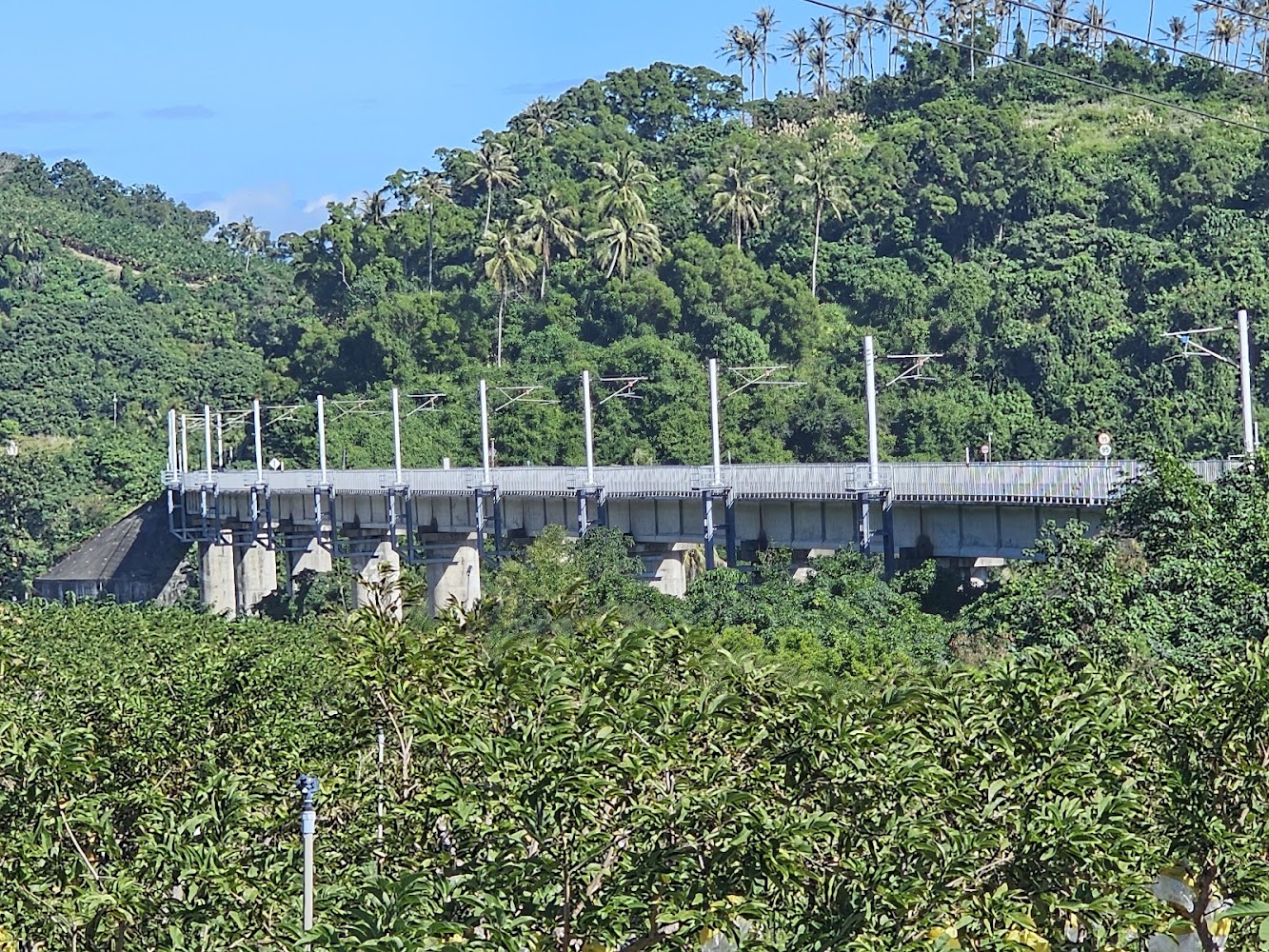 太麻里周邊高架鐵路橋與山景