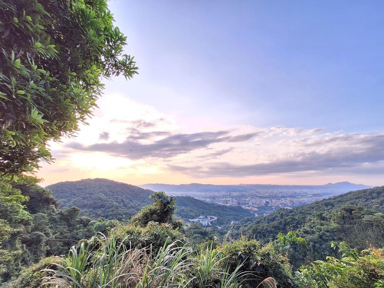 遠眺山丘與都市天際線