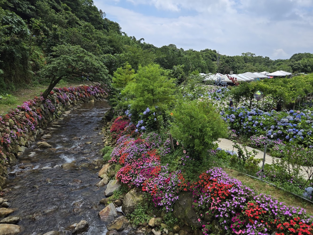 溪流兩岸滿是花卉與綠意的園區景色
