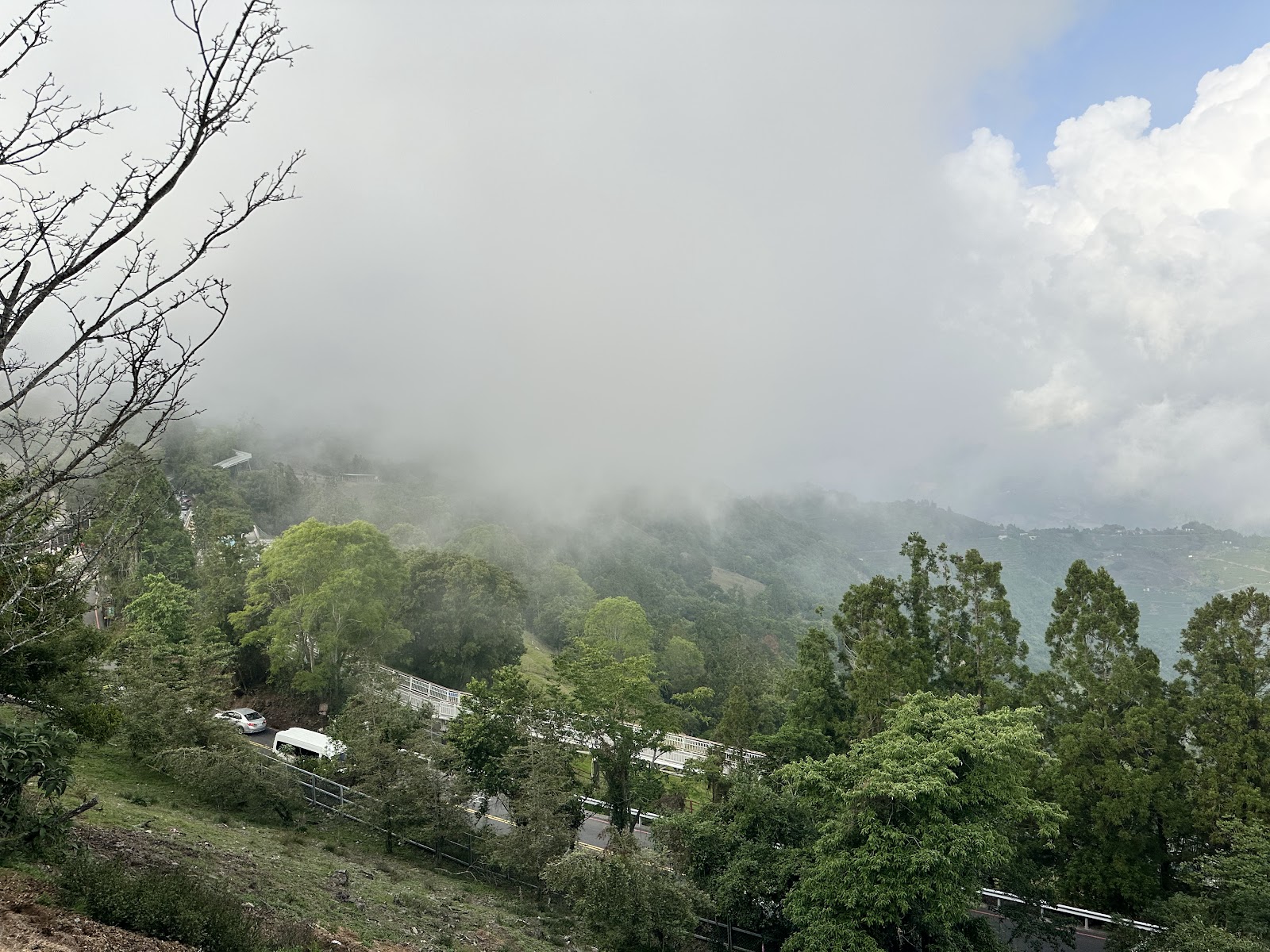 清境農場雲霧繚繞山路