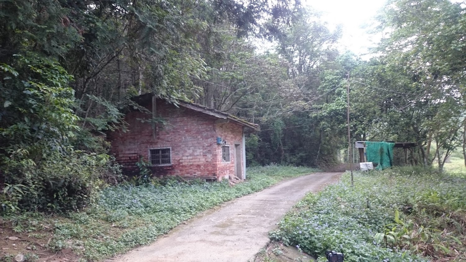 蓮華池林間紅磚屋與步道