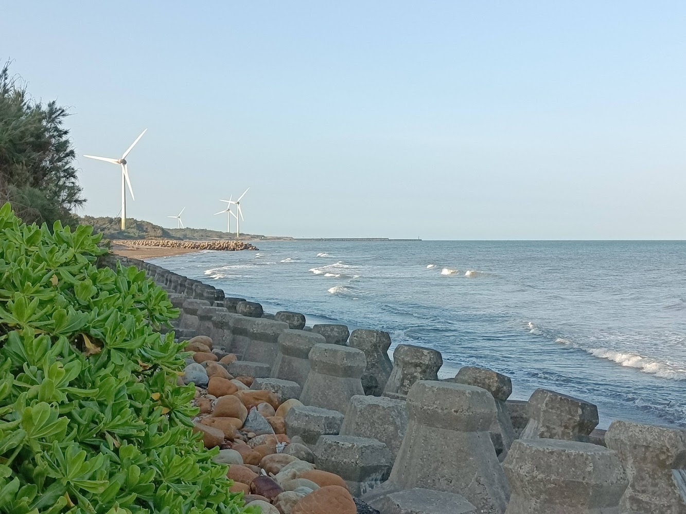海邊有海浪、消波塊、綠色植物和多座風力發電機