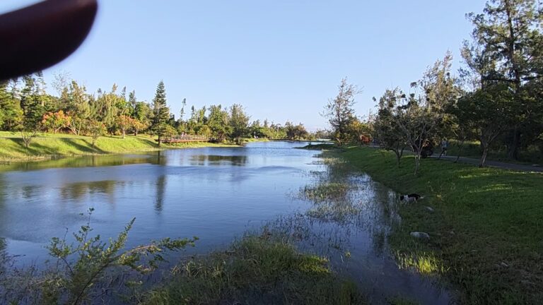 臺東森林公園鷺鷥湖全景木麻黃紅色木橋