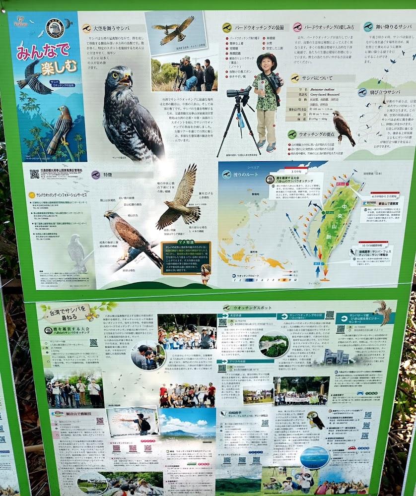 大冠鷲與賞鳥活動介紹看板