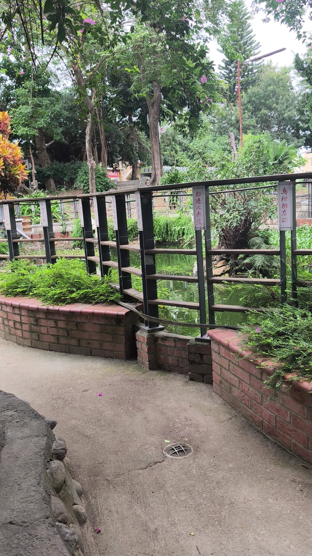 大崙腳公園綠意景色