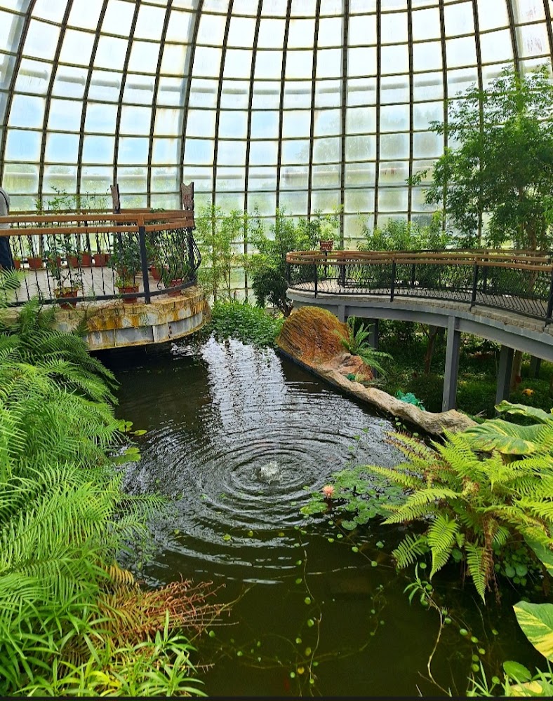 大型玻璃溫室，內有豐富植物、水池與步道