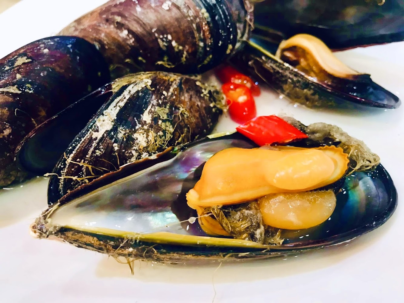 這張圖片主要呈現數顆新鮮青口貝（淡菜），有些已打開露出橙黃色貝肉，旁邊還擺有紅辣椒切片，整體看起來鮮美誘人。