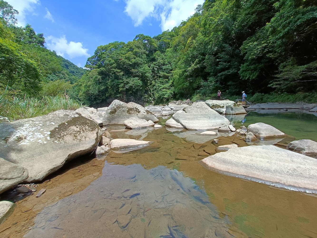 清澈溪流中可見石頭與小魚