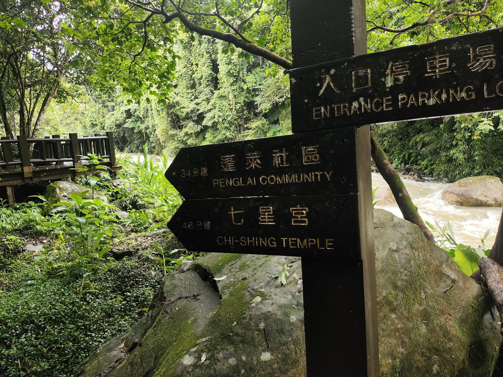 蓬萊溪護魚步道指標木牌，溪流湍急，亂石林立，綠意盎然