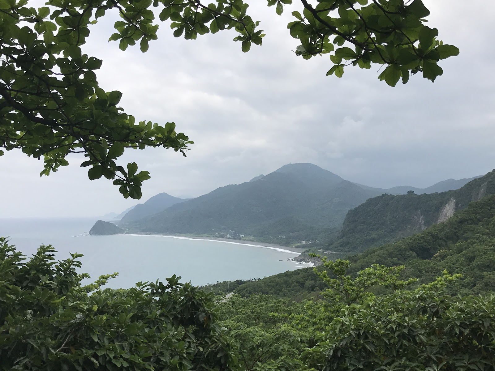 從高處透過樹葉框景俯瞰石梯坪翠綠弧形海灣，連綿山脈背景