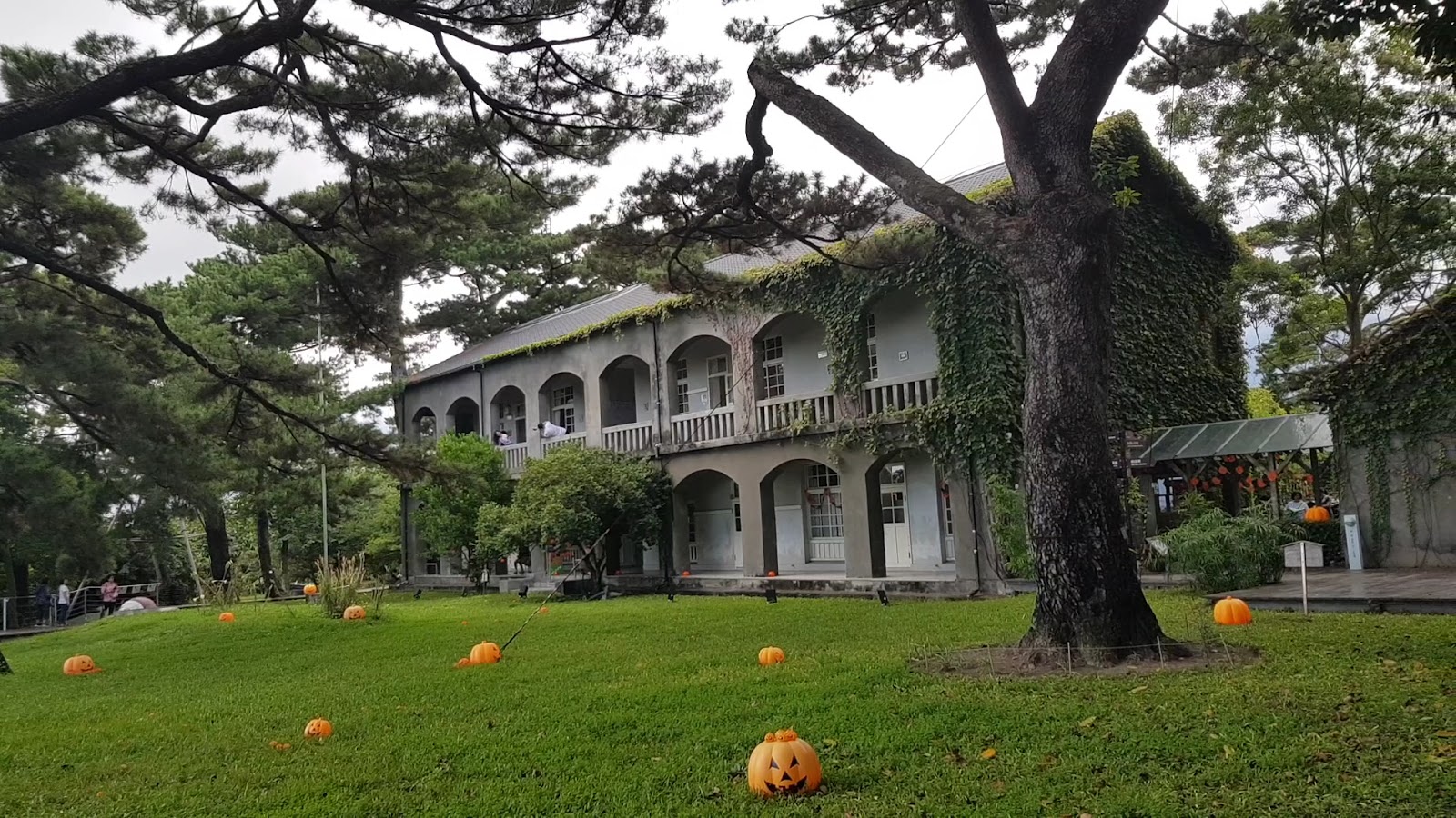 松園別館爬山虎覆蓋的日式建築外牆與南瓜裝飾草坪