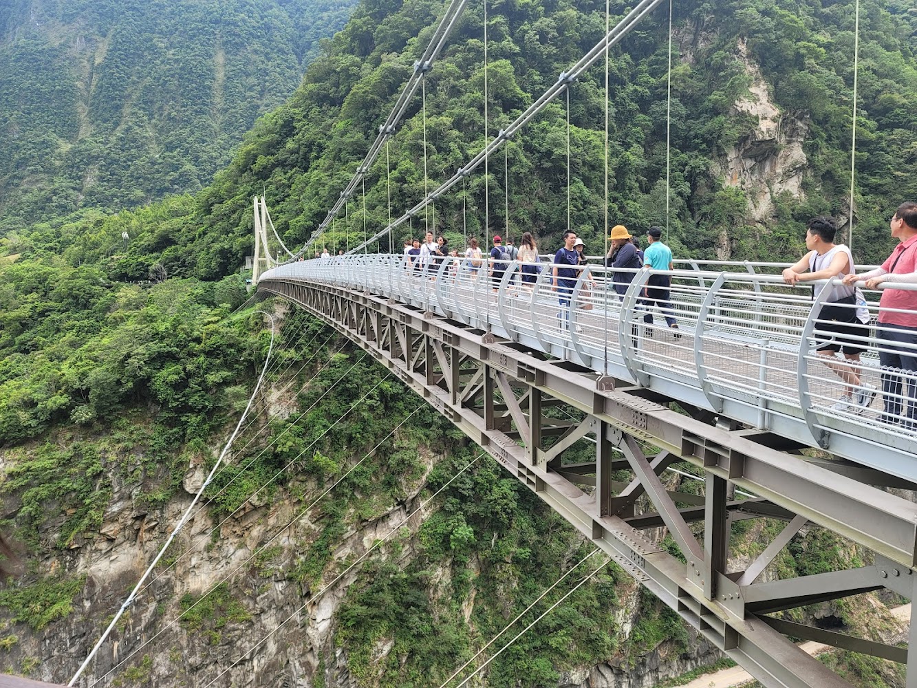 十分吊橋與山林景觀