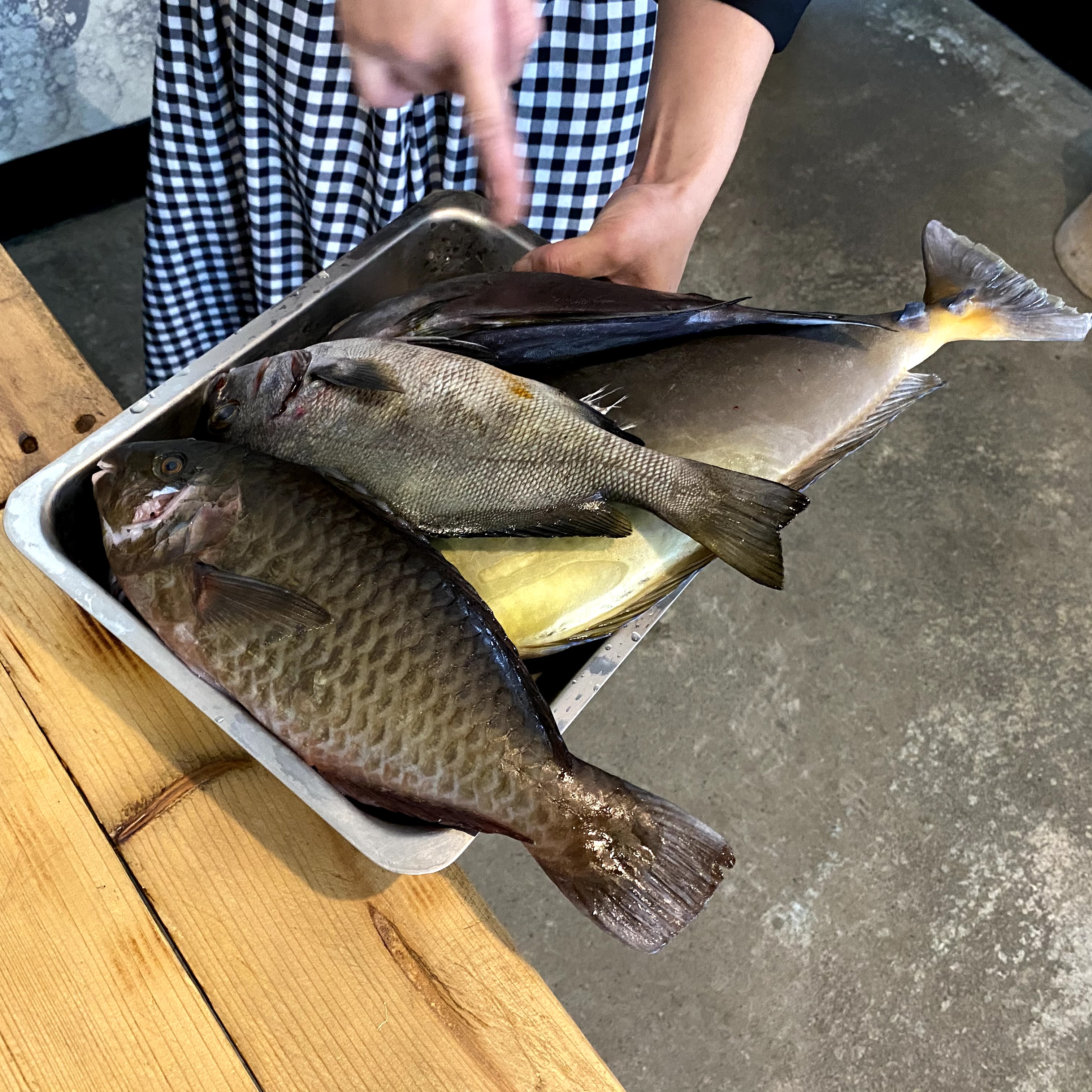 海人上菜有工作人員端著新鮮魚貨準備料理