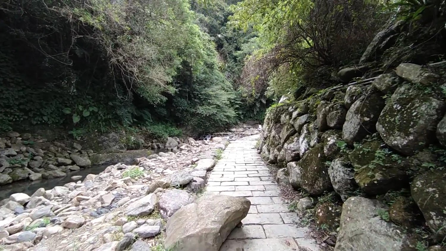 下坑子口溪親水遊憩區石板步道與溪谷樹林